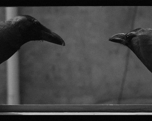 Stitched, Video still, Sarker Protick  2023