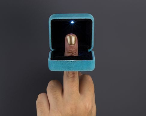 Morawetz, FuckYouIAmJewellery, 2017-2025 - Stephi Morawetz, Fuck you, I am jewellery!, Fotografie - Ring, 2017-2025.