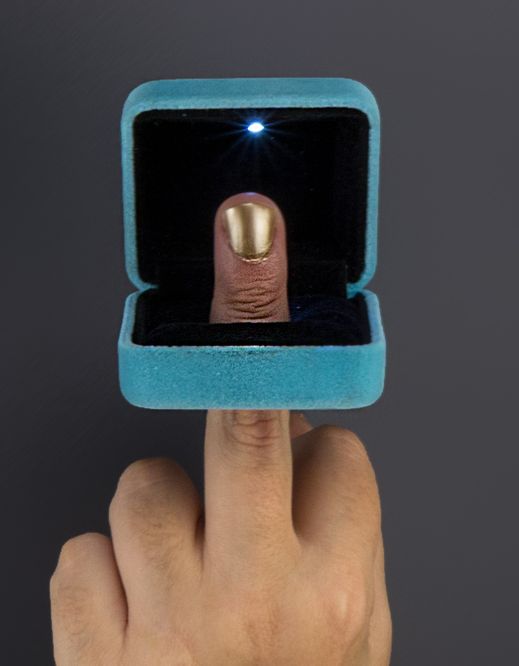 Morawetz, FuckYouIAmJewellery, 2017-2025 - Stephi Morawetz, Fuck you, I am jewellery!, Fotografie - Ring, 2017-2025.