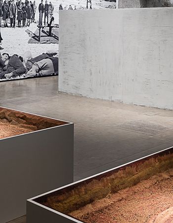 Schafhausen - Politischer Populismus, Kunsthalle Wien, 2015, Ausstellungsansicht