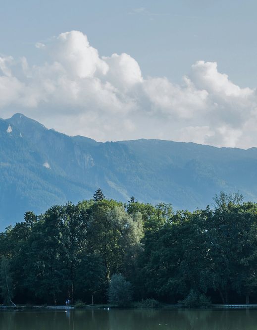 Stadtspaziergang_West(SE2019)_slider_bearbeitet-1 - Town walk 2015