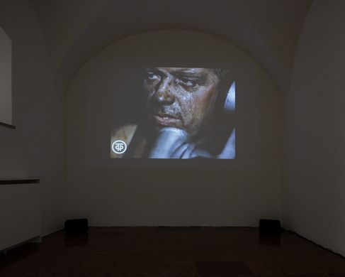Dana Kavelina, Videostandbild Letter to a Turtledove. Foto: Rudolf Strobl